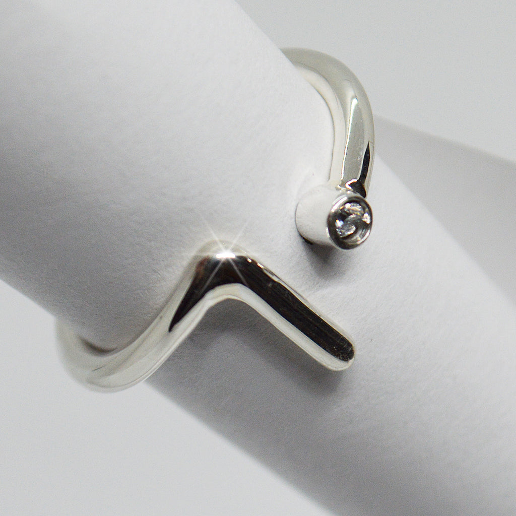 Anillo Simpleza