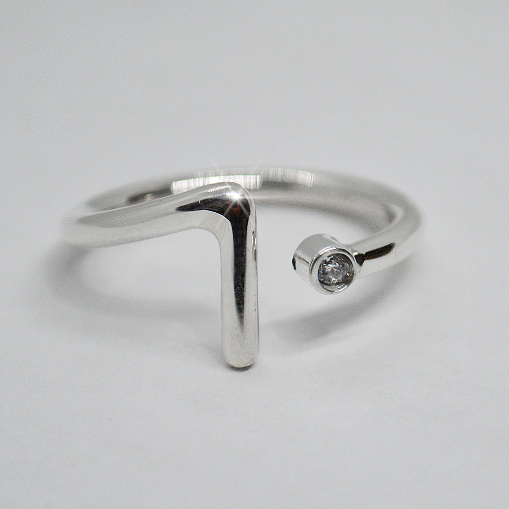 Anillo Simpleza