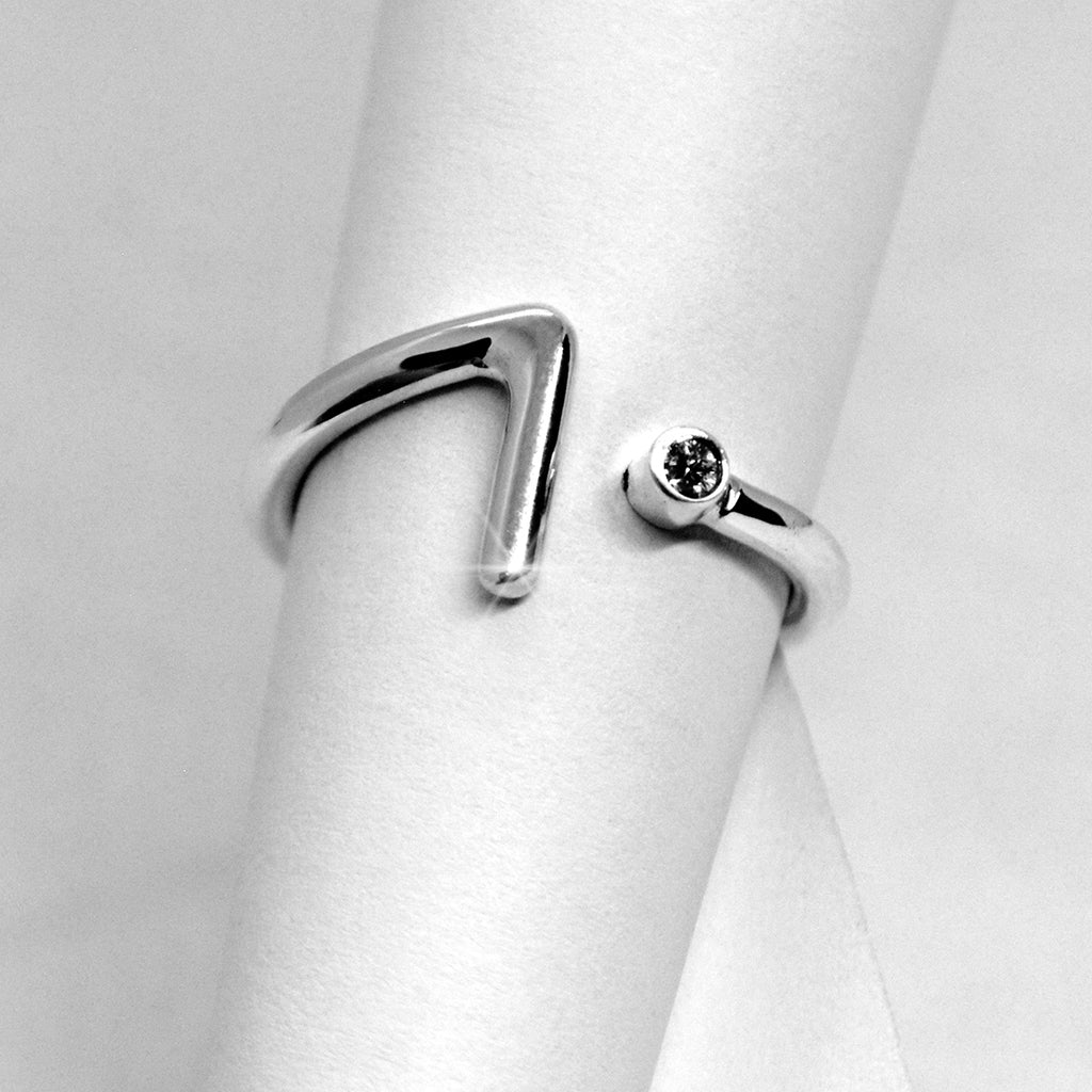 Anillo Simpleza