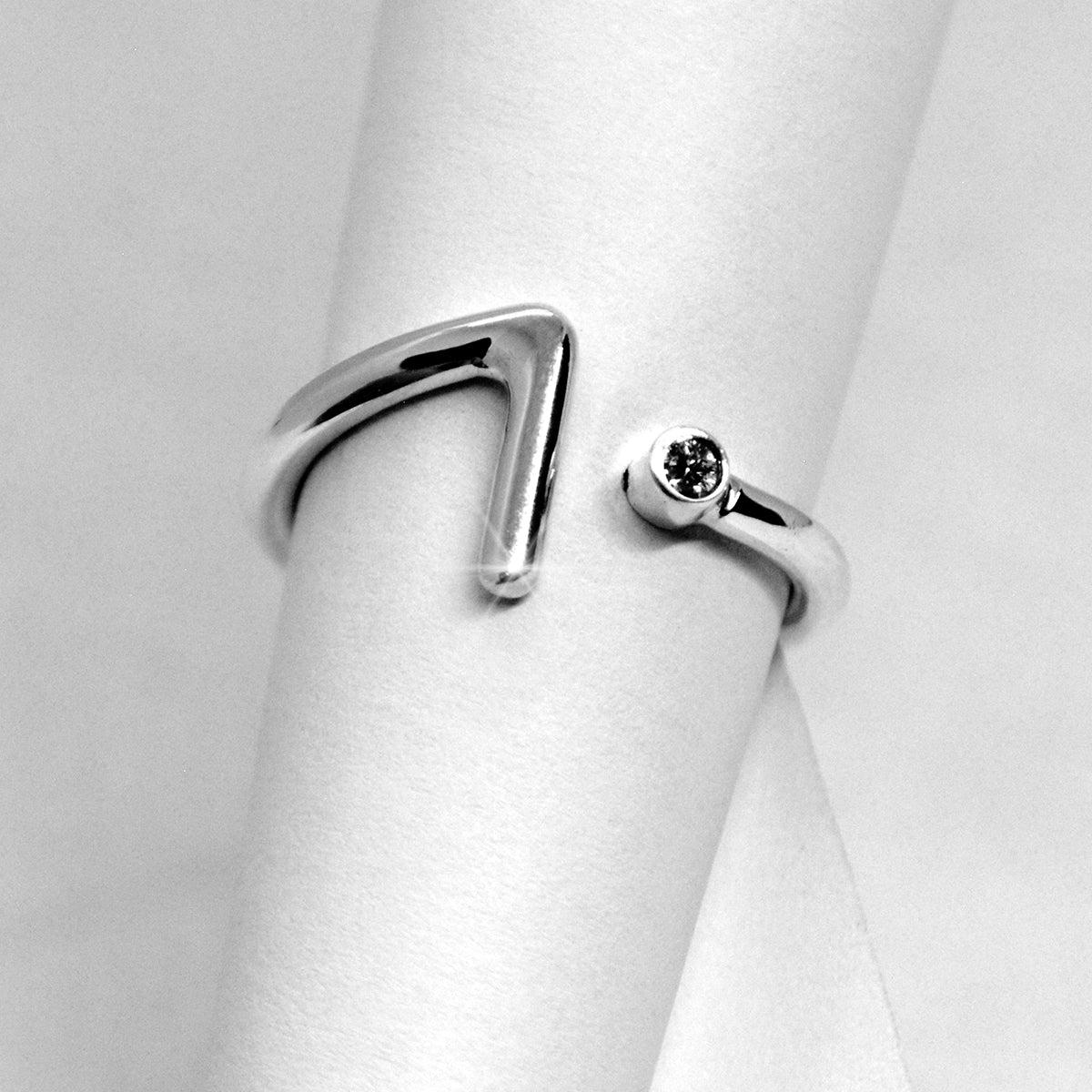 Anillo Simpleza