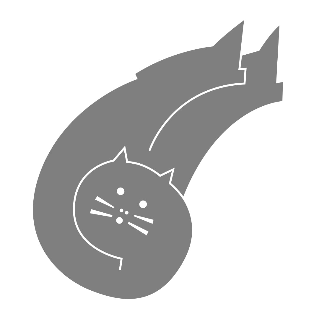 Gato con botas